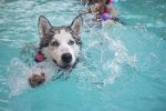 pool.jpg